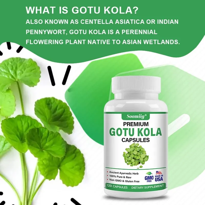 Gotu Kola Capsules 1300mg - Ginkgo Biloba Brain Health Memory & Focus Calm Nerves Skin & Circulation Support Non-GMO