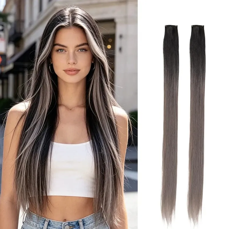 2Pcs Pack Two-Tone Ombre Highlight Clip in Wig Straight Hair Piece Synthetic Fiber Comb for Daily Party Look