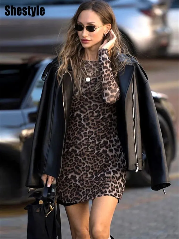 Shestyle – robe trapèze léopard Sexy pour femmes, ensemble deux pièces en maille transparente, mode extrêmement chaude, imprimé Animal de rue élégant — image 5