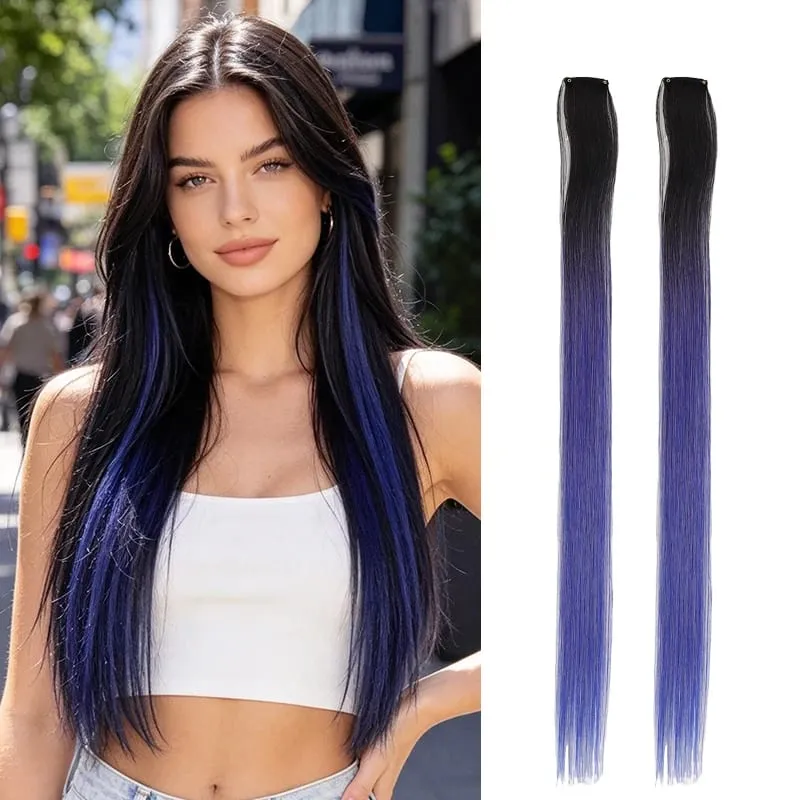 2Pcs Pack Two-Tone Ombre Highlight Clip in Wig Straight Hair Piece Synthetic Fiber Comb for Daily Party Look
