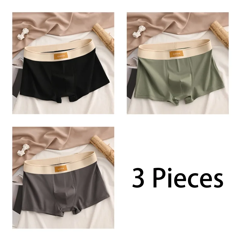 Calzoncillos Boxer de algodón de alta calidad para hombre, Boxers deportivos informales suaves y saludables, pantalones cortos de moda, ropa interior, 3 uds.