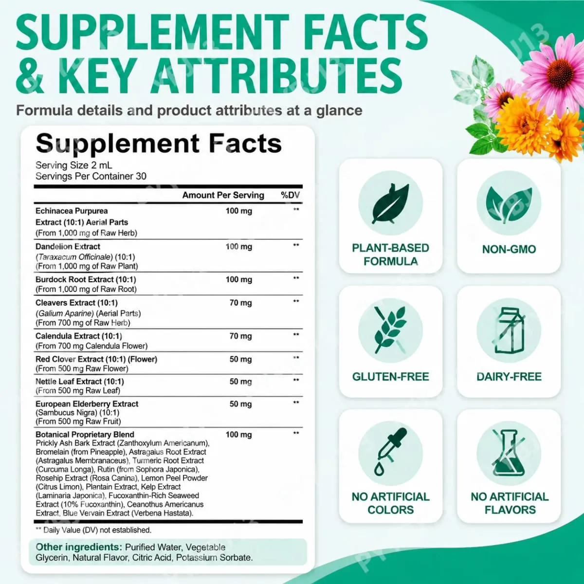 Lenm 60 ml système lymphatique nettoyer soutien immunitaire suppléments liquides gouttes lymphatiques organiques naturelles à base de plantes pour BalanceSupport