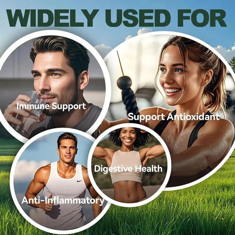 10 in One Oregano Oil Supplement Capsules Black Seed Oil Garlic Extract Elderberry - Immune & Digestive Support - 120 Pills