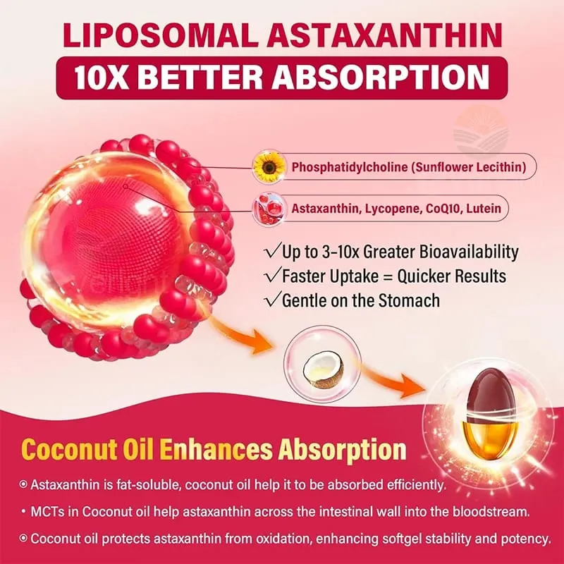 Liposomální astaxanthinové doplňky s lykopenem CoQ10 Lutein Vitamín B6 E Antioxidanty zinku pro zdravou pleť Stárnutí očí