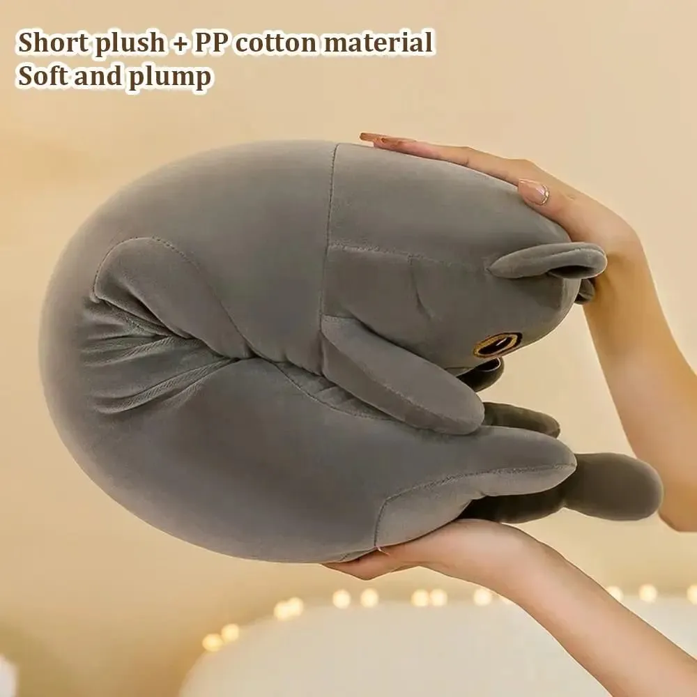 Bonito 50/70cm gato brinquedo de pelúcia longo adorável dormir travesseiro macio criativo pelúcia animal decoração para casa — image 6