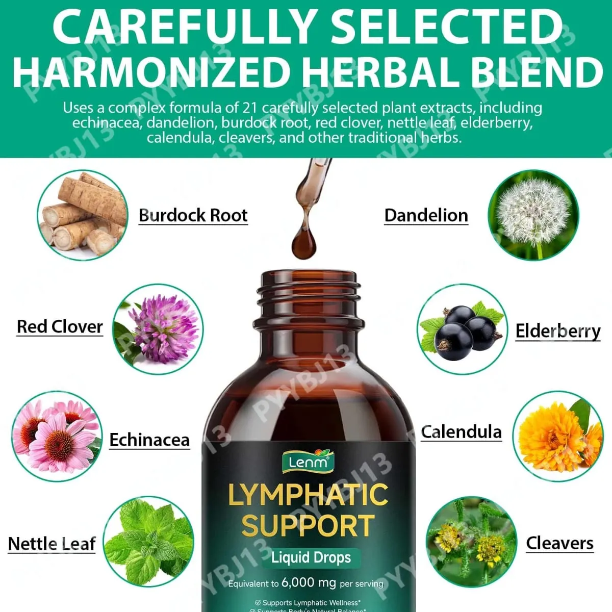Lenm 60 ml système lymphatique nettoyer soutien immunitaire suppléments liquides gouttes lymphatiques organiques naturelles à base de plantes pour BalanceSupport