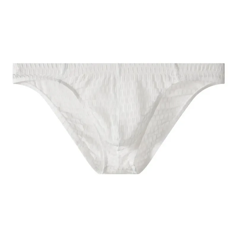 Breathable Low Waist Men's Briefs Transparent Ultra-thin Ice Silk Underwear Lingerie Mesh Panties Male Comfort Fit