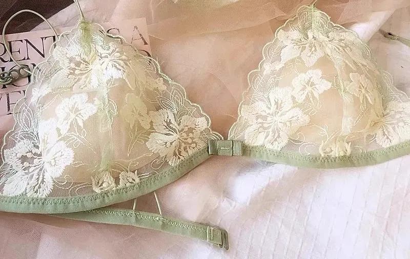 Ensemble de lingerie de niche française en maille brodée coupe triangle sans fil bralette rétro dentelle fine sexy soutien-gorge confortable USA Tushy MOYISU