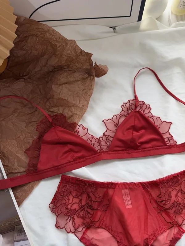 Women Lingerie Set French Luxury Lace Push Up No Wire Bra and Panty Set Breathable Ultra Thin Comfort Gather Underwear Clothing — image 3