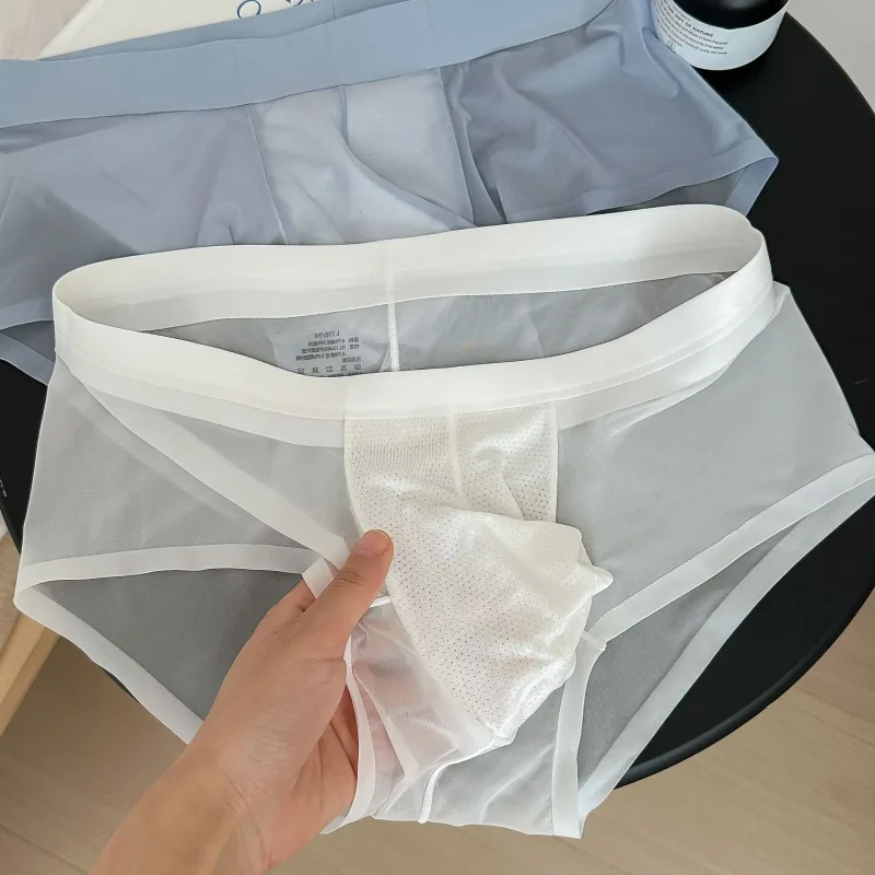 Transparent Men's Briefs Ultra-thin Ice Silk Quick Dry Panties Sexy U Bulge Pouch Man Underwear Breathable Underpants Cuecas — image 3