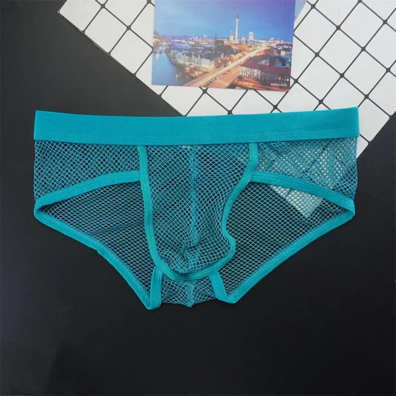 Plus Size Mesh Underwear Men Transparent Large Fishnet U Pouch Briefs Male Low Waist Solid Color Sexy Perspective Male Panties — image 14