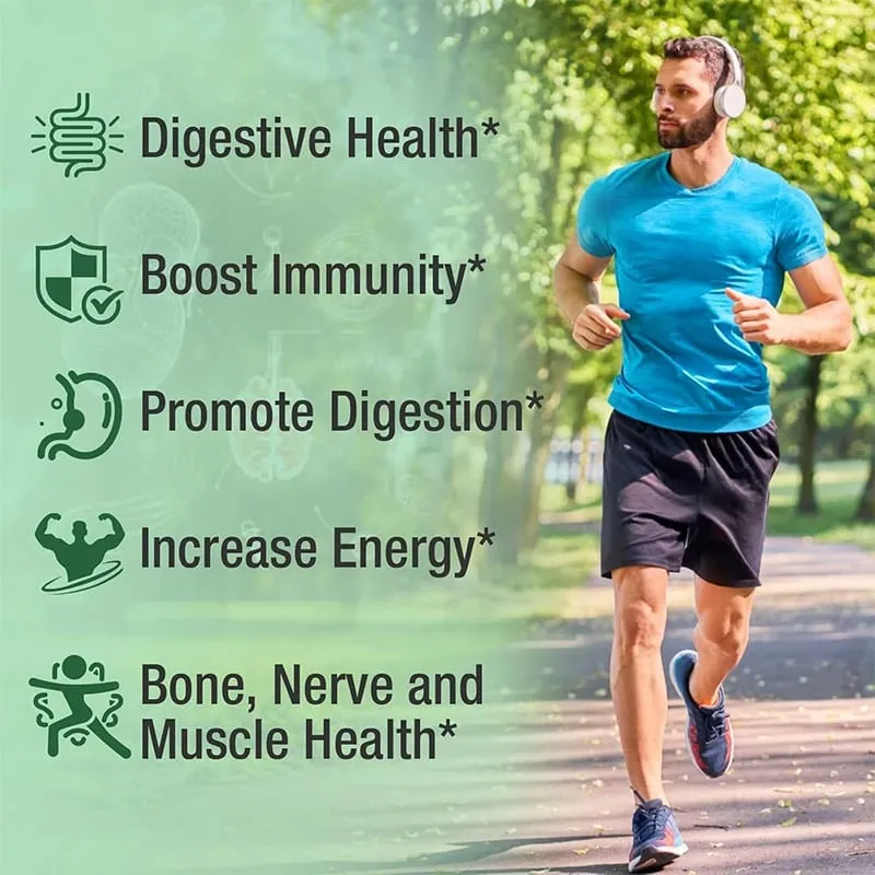 Buy 2 Get 2 Free! Oil of Oregano Supplement Immune Support Digestive Health Light Beige Improve Overall Wellness & Vitality