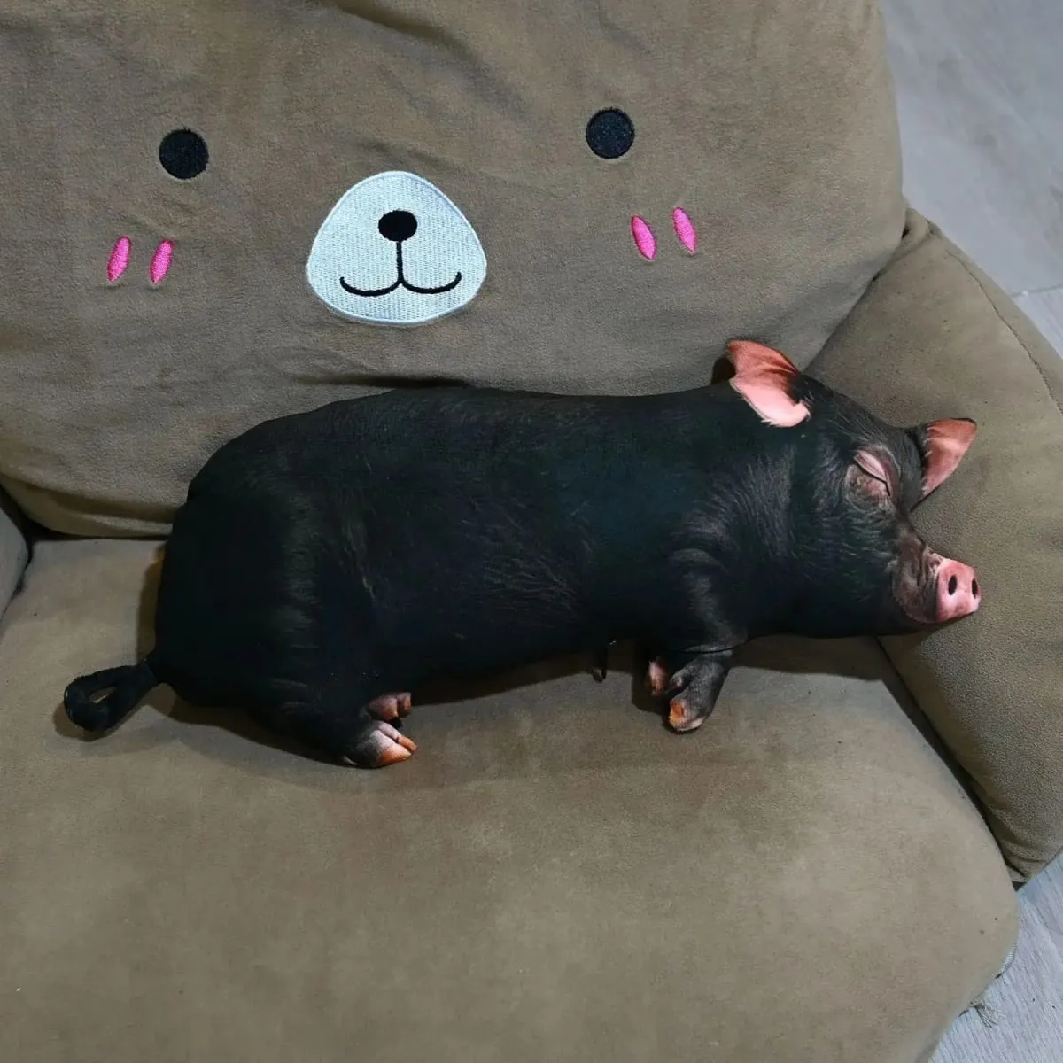 【In Stock】Cute Lifelike Simulation Pig Plush Toy Soft Sleeping Pillow Holiday Gift For Close Friends Home Sofa Decor Cushion — image 11