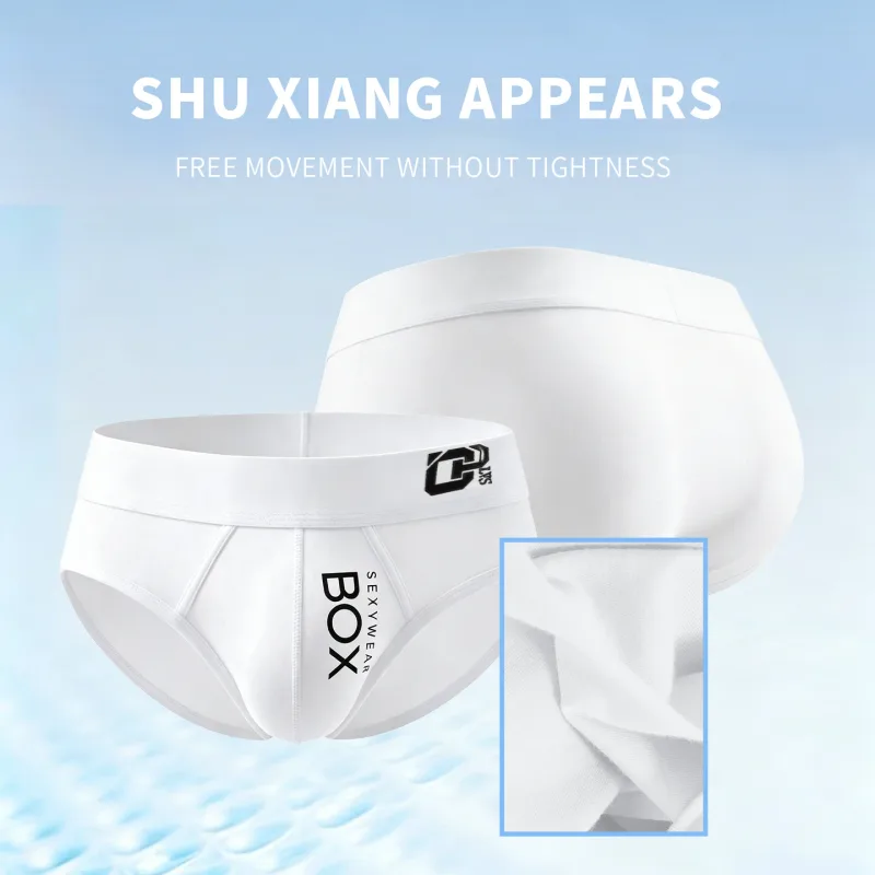 1/2Pcs High Quality Low Waist Sexy Mens Underwear Briefs Letter Print Men's Lingerie Cotton Men's Briefs Bikini Man Underpants — image 19