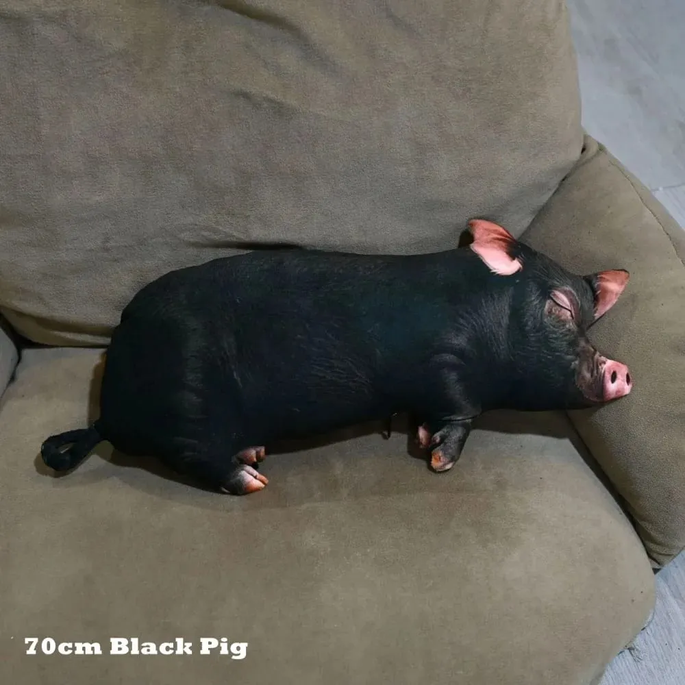 Plush Material Animal Body Pillow PP Cotton Filled 40cm Size Poultry Throw Pillows Soft Texture Cute Design — image 10