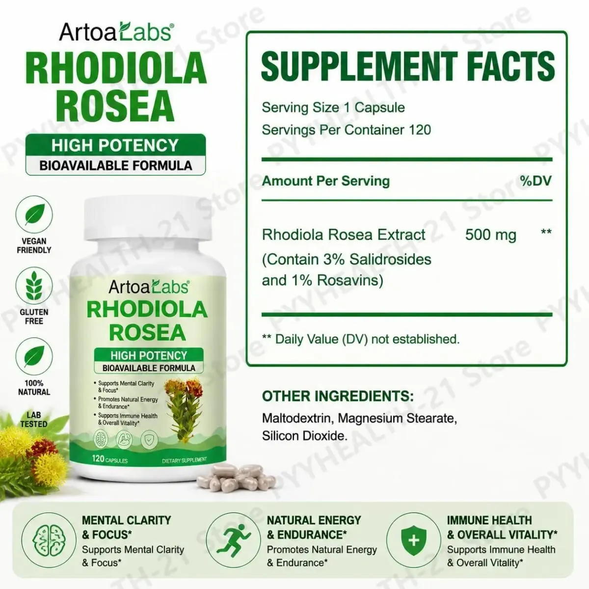 ArtoaLabs Rhodiola Rosea 500mg Capsules High Potency Supports Mental Clarity Focus Natural Energy Endurance 120 Vegan Capsules — image 3