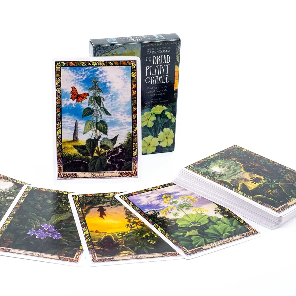 Cotolie KUMACHAN MOON CARDS 24 Pcs Deck English Version Adorable Bear Oracle Cards Board Game for Family Party 10.4*7.4cm — image 8
