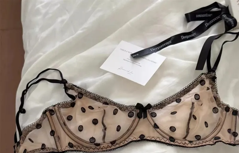 French Retro Lace Bra & Thong Set | Sexy Polka Dot Sheer Mesh Lingerie for Plus Size Big Bust Ultra Thin MOYISU Panty TUSHY Set — image 12