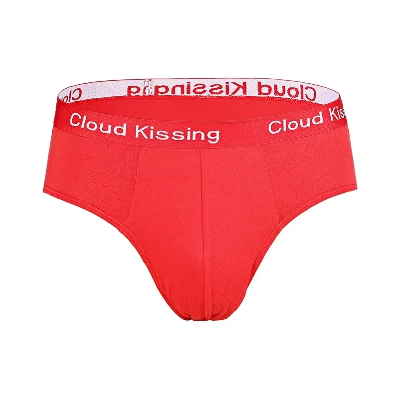 4Pcs/Lot Summer Men's Triangle Pants Plus Size Men's Underwear Sexy Boy Comfortable Solid Underpants Fungi-Proofing Men Panties — image 2