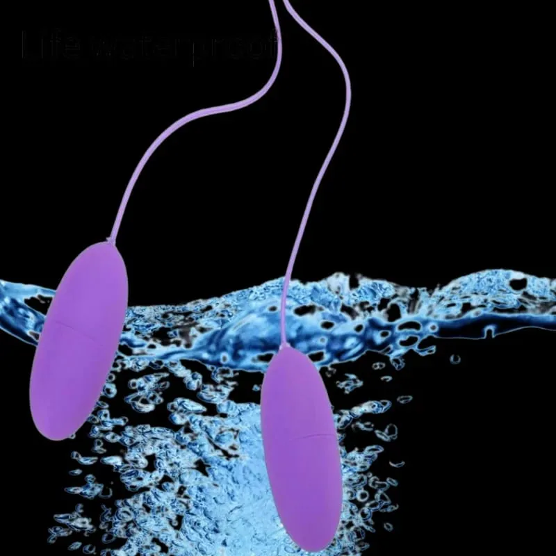 Dual Motor Bullet Vibrator Vibrating Egg USB Rechargeable Clitoral Stimulator Massager Multi Speed Pleasure Sex Toy — image 4