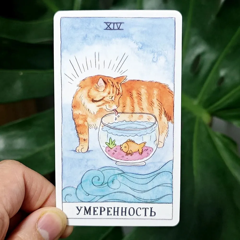 Cat Tarot Russian Language 10.3*6cm Combine Authenticity with A Feline Sense of Humor 78 Pcs Cat-themed Tarot Cards — image 2