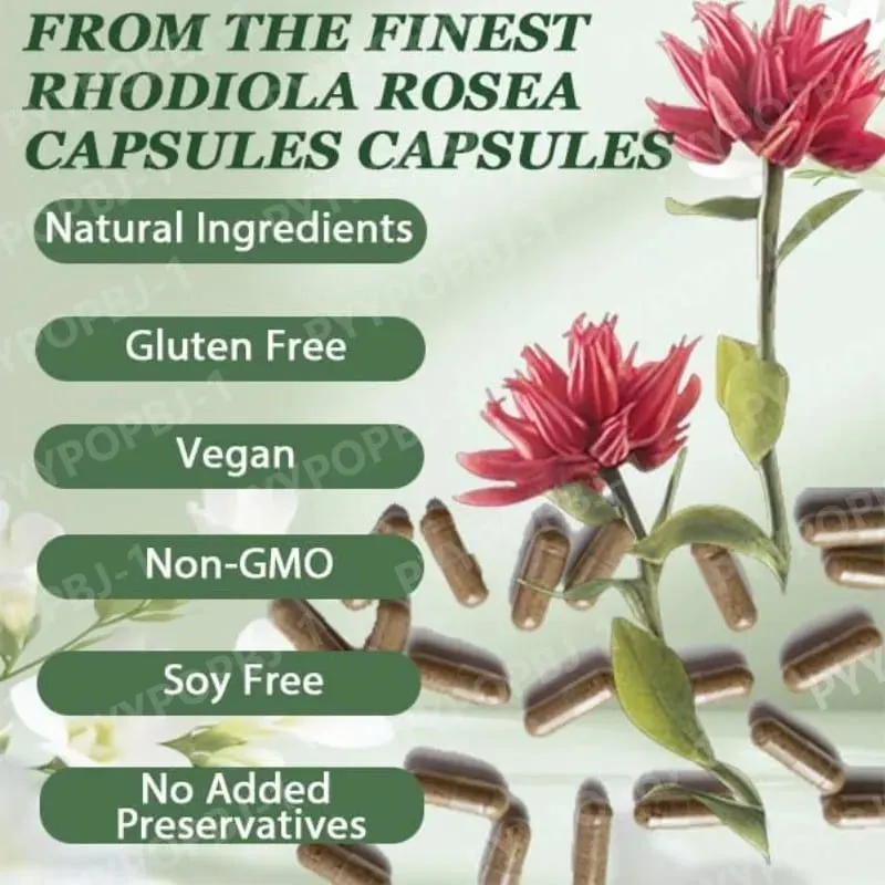500mg Rhodiola Rosea Capsules Natural Herbaceous Plants Supplement for Daily Stress Support & Energy Balance 60 Count Per Bottle