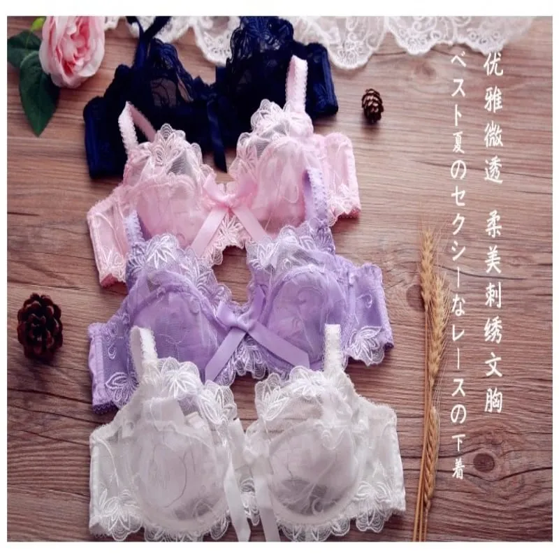 Ultra Thin Lingerie Set European Lace Bra for Big Boobs Sexy Push Up & Gather Sheer Transparent Large Cup Support BANERDANNI — image 2