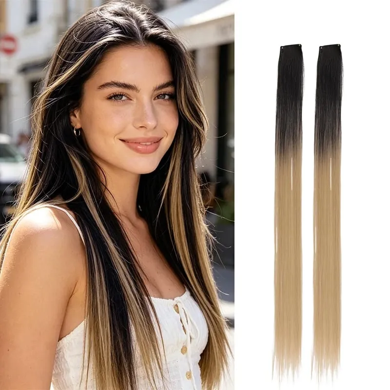 2Pcs Pack Two-Tone Ombre Highlight Clip in Wig Straight Hair Piece Synthetic Fiber Comb for Daily Party Look