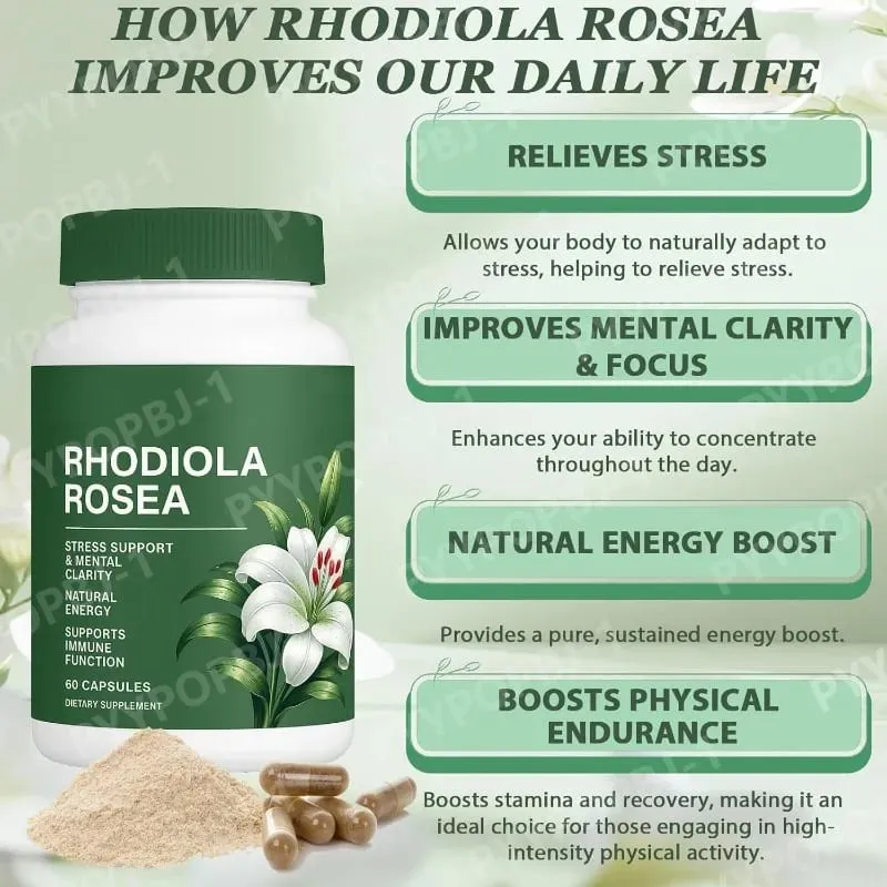 500mg Rhodiola Rosea Capsules Natural Herbaceous Plants Supplement for Daily Stress Support & Energy Balance 60 Count Per Bottle