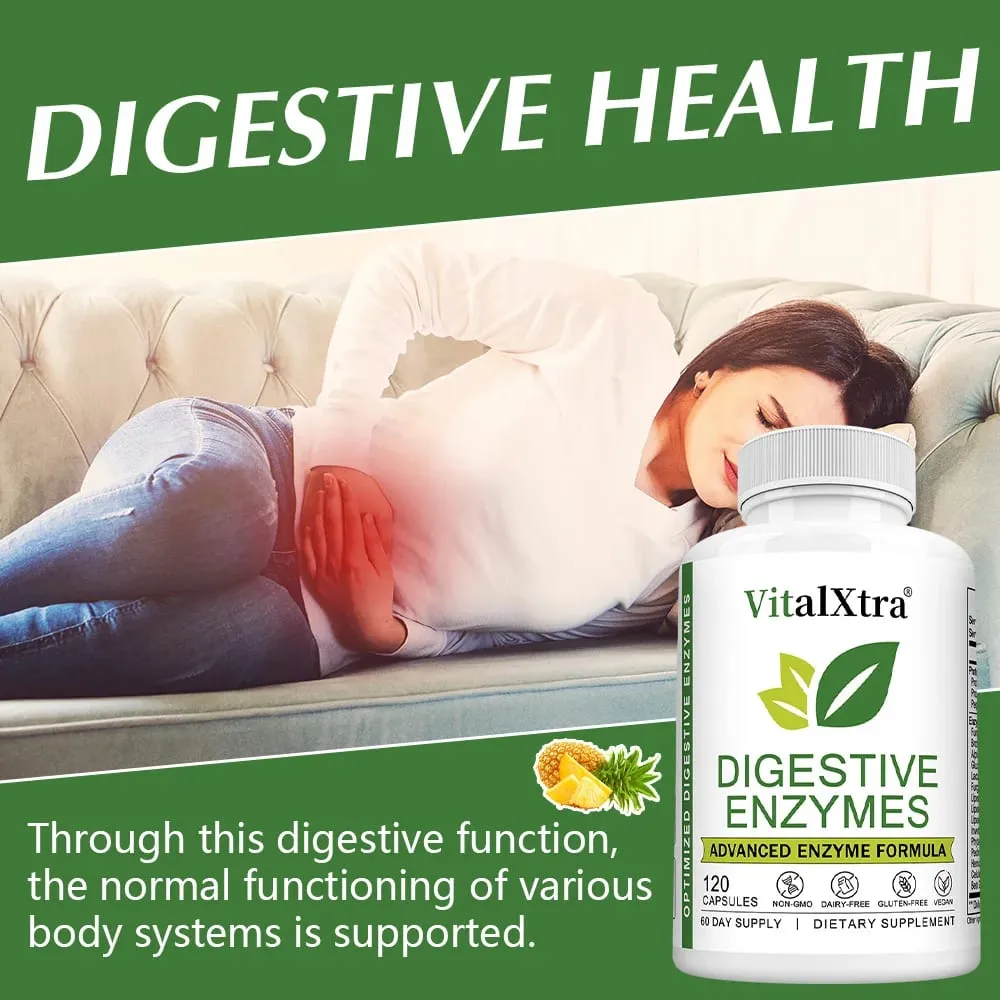 Digestive Enzymes Capsules - Most Essential Digestive Enzymes (Amylase Lipase Bromelain Lactase Cellulase Invertase) — image 2