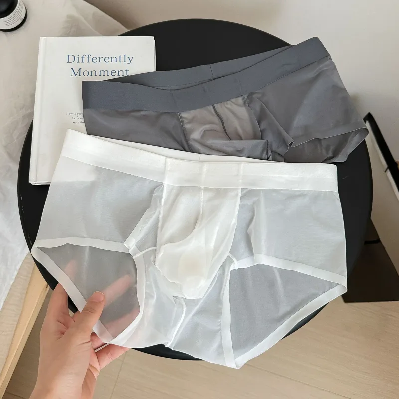 Transparent Men's Briefs Ultra-thin Ice Silk Quick Dry Panties Sexy U Bulge Pouch Man Underwear Breathable Underpants Cuecas — image 26