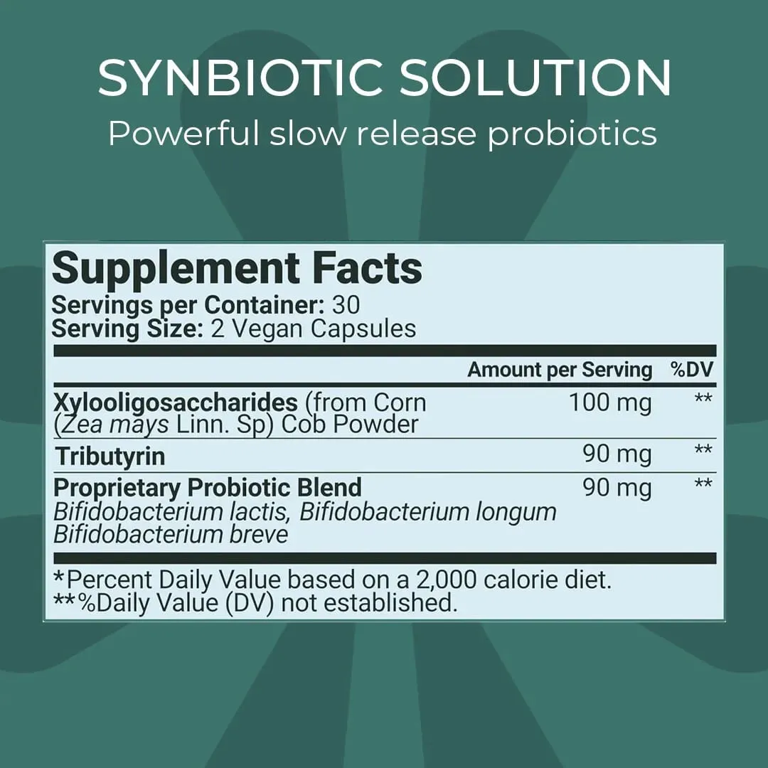 Digestive Health Probiotic Gut Support for Men & Women with Xylooligosaccharides Tributyrin & Bifidobacterium - 60 Capsules — image 5