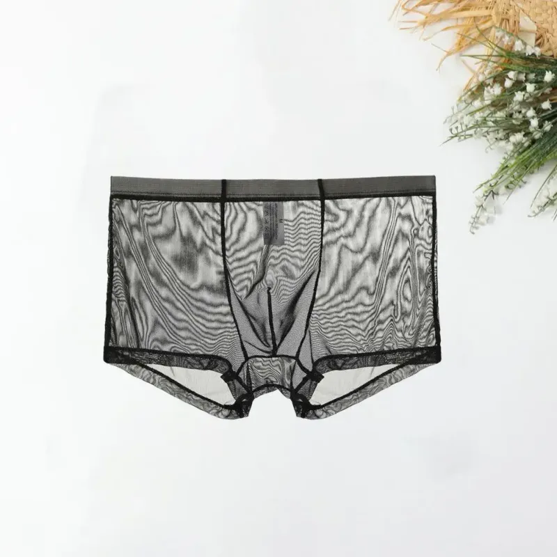 Genomskinliga boxershorts för män genomskinlig manliga kalsonger Sexiga Mesh Låg midja Is Silke Tunn Kylning Herr Trosor Herr Underkläder — image 17