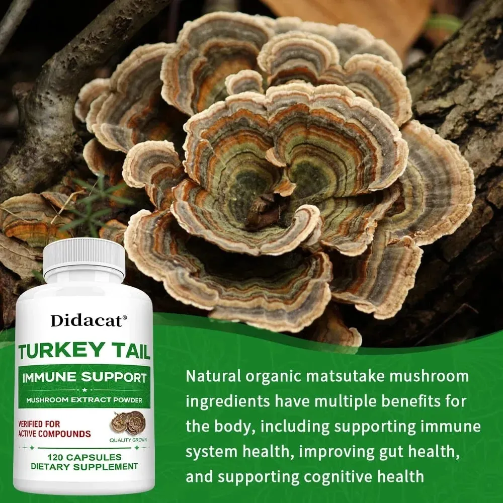 Turkey Tail Mushroom Supplement Boosts The Immune System Promotes Health and Vitality Vegan Non-GMO 120 Capsules — image 4