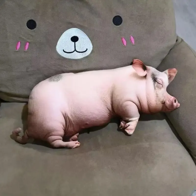 [Nieuw] Realistisch Slapend Varken Knuffels Katoen Gevuld Levensecht Afdrukken Varken Pop Gezellig Zacht Huis Sierkussen Kawaii Home Decor