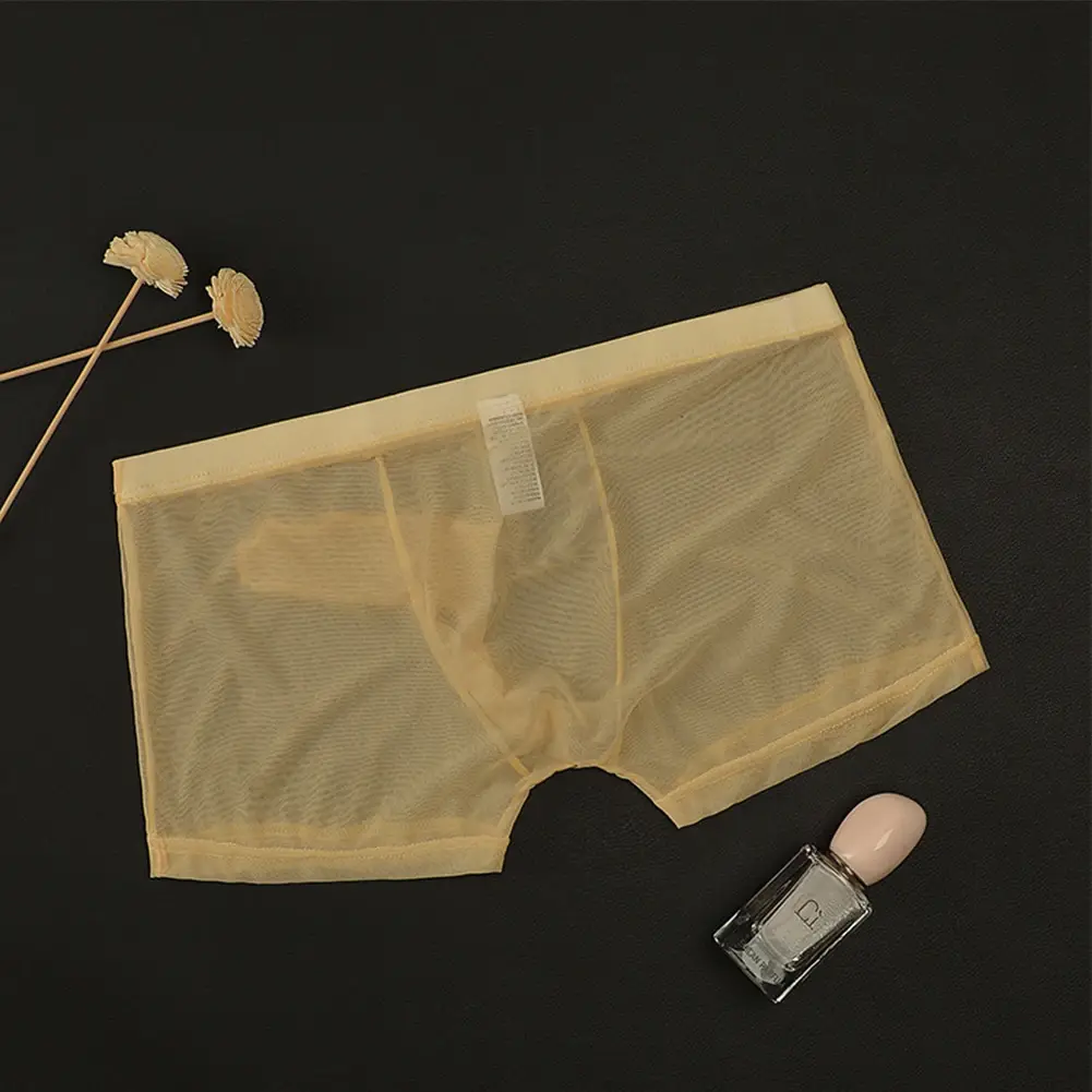 Seksi Erkek Örgü Şeffaf Hafif Iç Çamaşırı Nefes Alabilen Boxer Külot Külot Kurşun Ayırma Erkek Boxer Külot