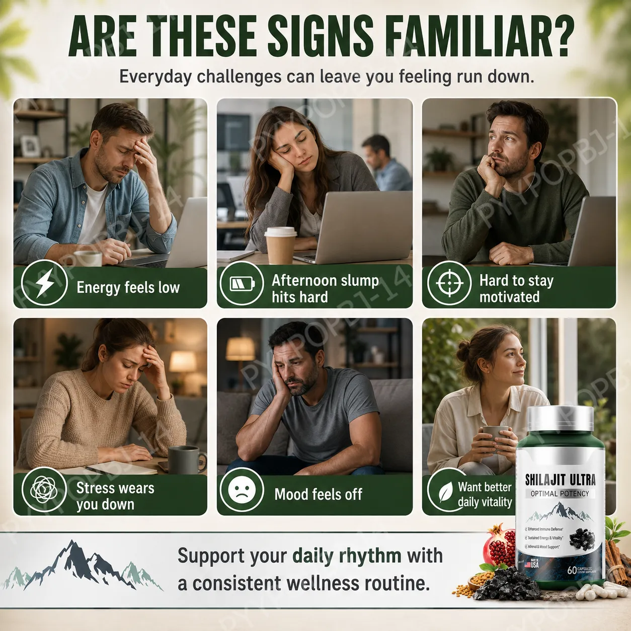 Herbal Shilajit Natural Mineral Supplement with Fulvic Acid 60 Capsules Daily Wellness Vitality Balance Formula for Men's Health — image 3