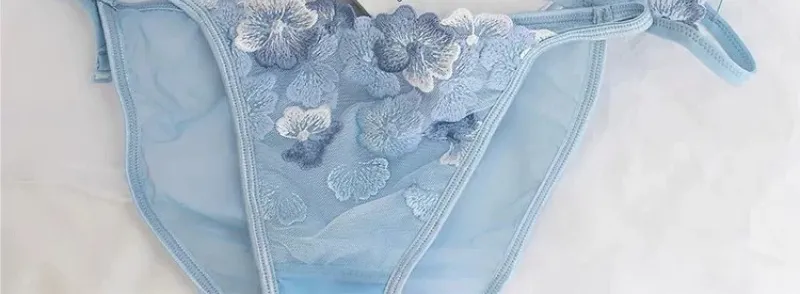 French Triangle Cup Bralette Embroidered Lace Wireless See Through Hollow Out Sexy Pure Desire Lingerie Set MOYISU Sexy Tushy — image 11