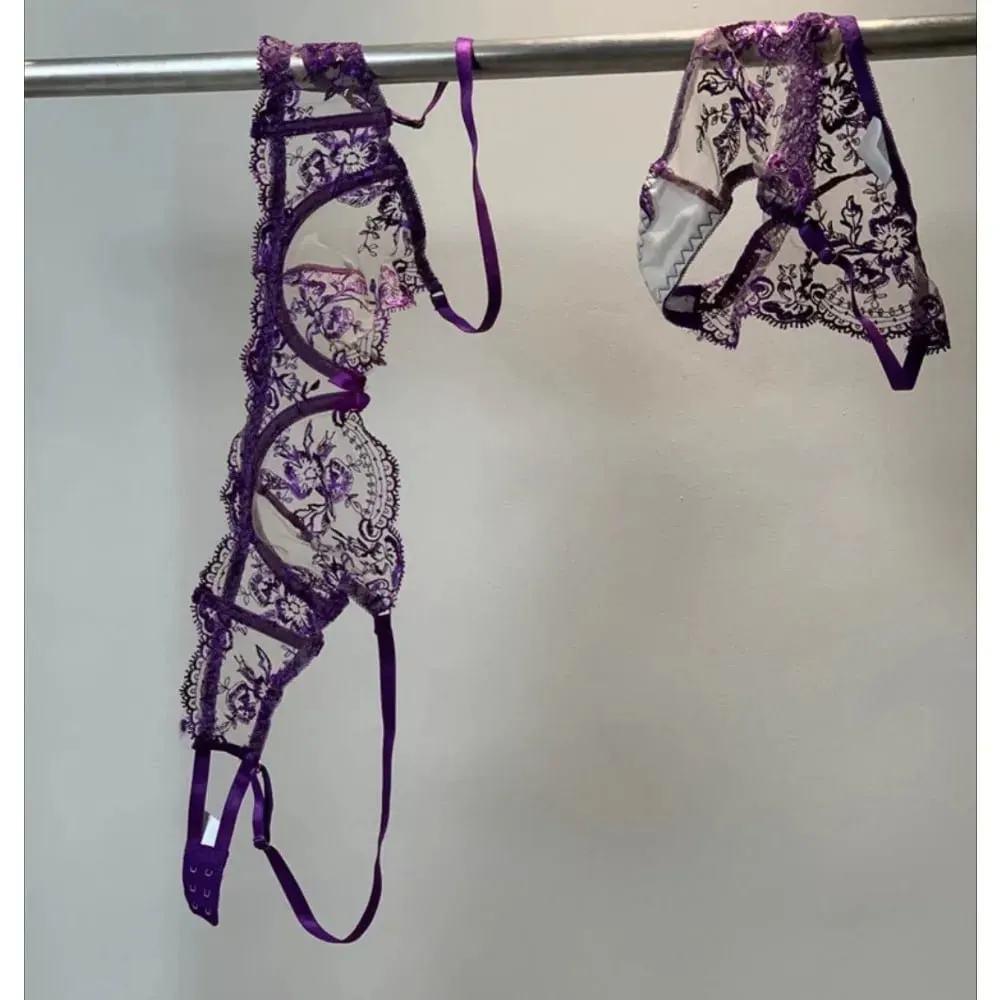 French Style Mesh Embroidery Lace Bra Set With Underwire Slightly Sheer Thin Lingerie Minimizer Bra For Big Bust S-XL — image 1