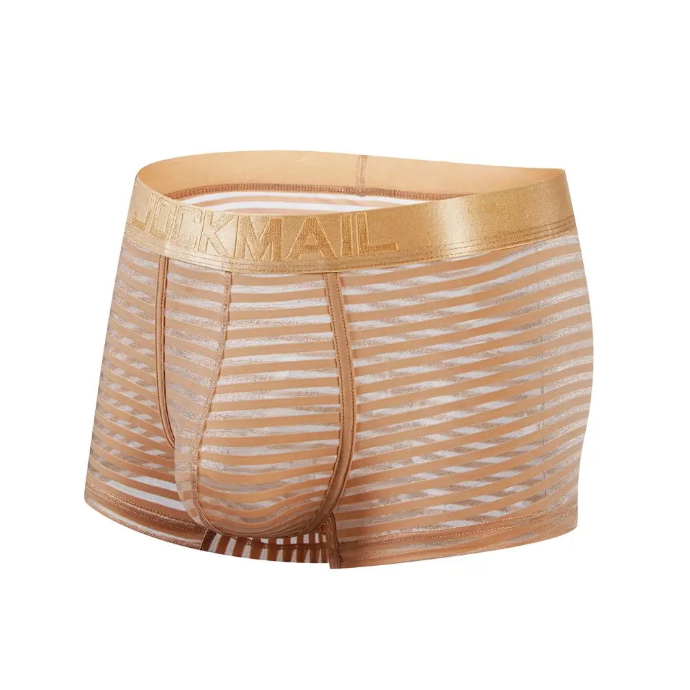 Sexy Men Underwear Boxer Shorts Transparent Mesh Underpants Trunks Men Panties Low Waist Nylon Breathable Quick Drying — image 2