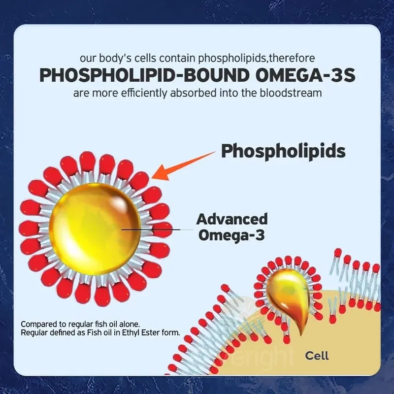 Krill Oil - Phospholipid Omega-3 Complex with Astaxanthin - Support Lipid Management Metabolism Brain & Heart Health - EPA DHA — image 5