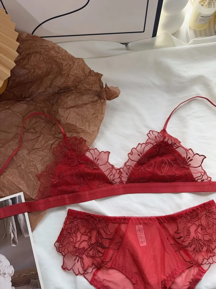 Women Lingerie Set French Luxury Lace Push Up No Wire Bra and Panty Set Breathable Ultra Thin Comfort Gather Underwear Clothing — image 4