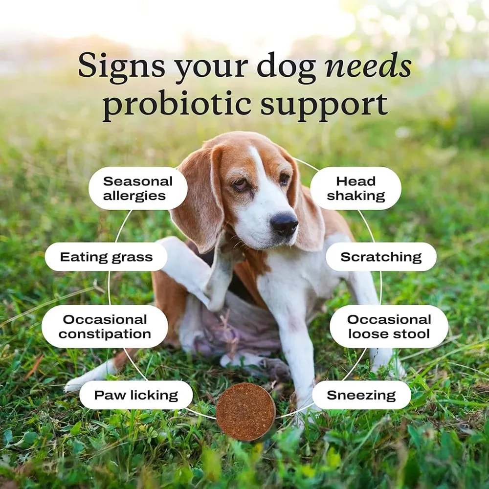 Probiotics Chew for Dogs 12 Weeks+ Support Gut Health Occasional Diarrhea Digestive Health & Seasonal Allergies - Beef Flavor — image 6
