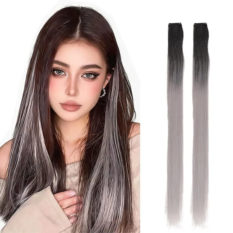 2Pcs Pack Two-Tone Ombre Highlight Clip in Wig Straight Hair Piece Synthetic Fiber Comb for Daily Party Look