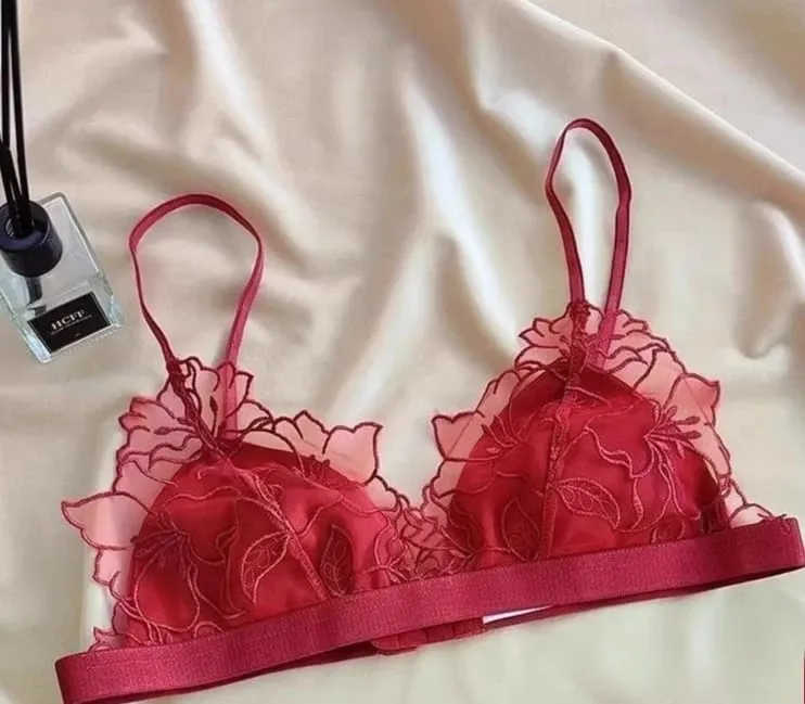 Sexy French Lace Bralette & Underwear Set Lightweight Wireless Triangle Cup Bra for Women Pure Elegant Small Boobs S-XL MOYISU — image 8