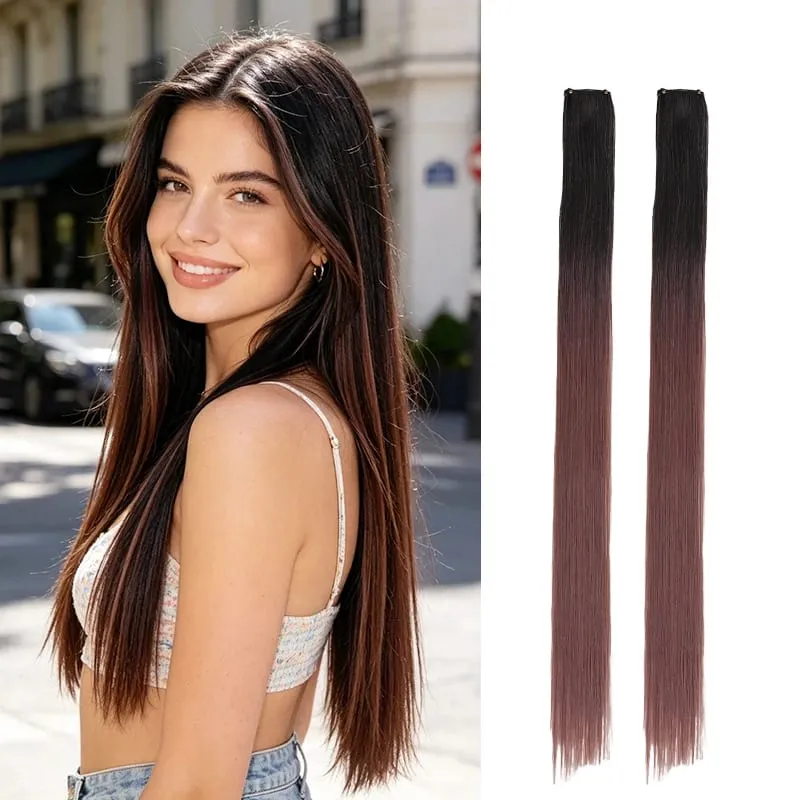 2Pcs Pack Two-Tone Ombre Highlight Clip in Wig Straight Hair Piece Synthetic Fiber Comb for Daily Party Look