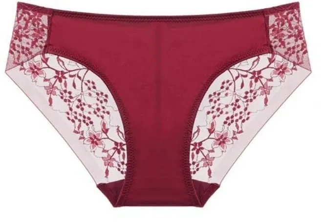 Lace Lingerie Set Thin Cup Minimizer Bra Panty Kit Comfort Full Coverage Intimates For Big Bust Festive Daily Women Underwear — image 13