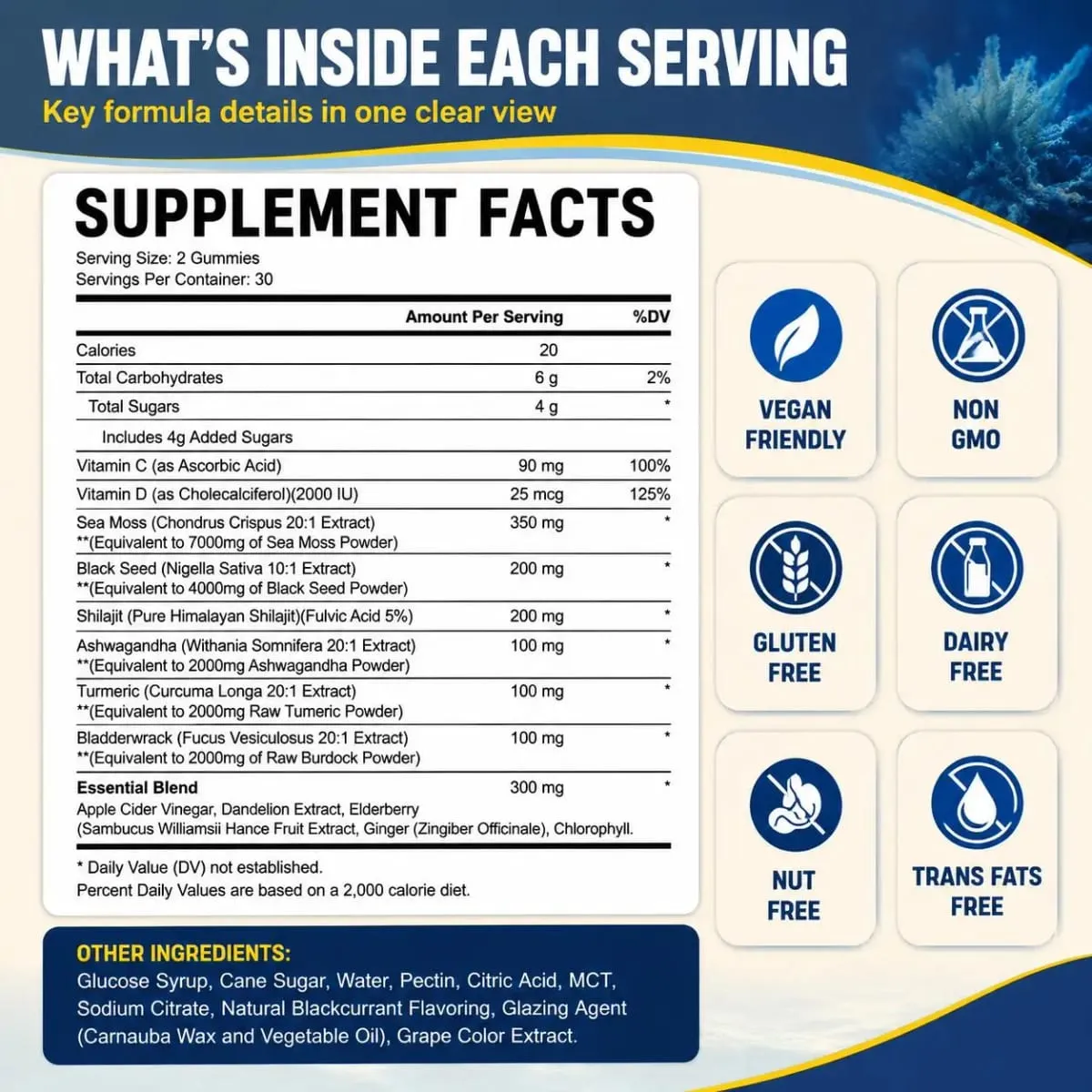 HalmanLabs Sea Moss Black Seed Oil Gummies na may Vitamin C at Vitamin D para sa Immune Health at Vital Mineral Support 60 Gummies