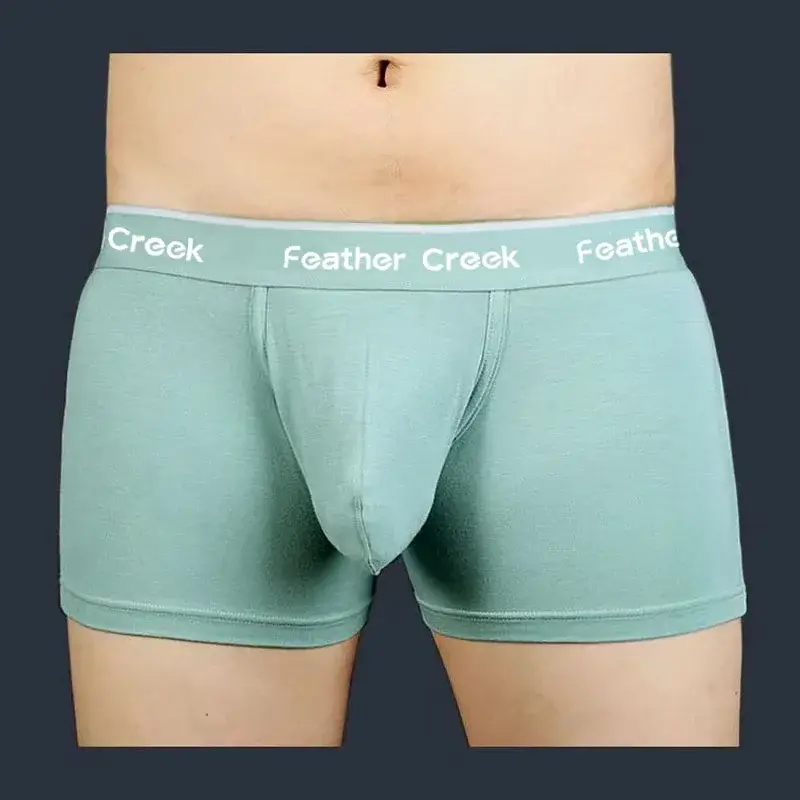 Large Pouch Men's Panties U Convex Front Pocket Flat Foot Triangle Sexy Shorts Fashionable Underwear for Men