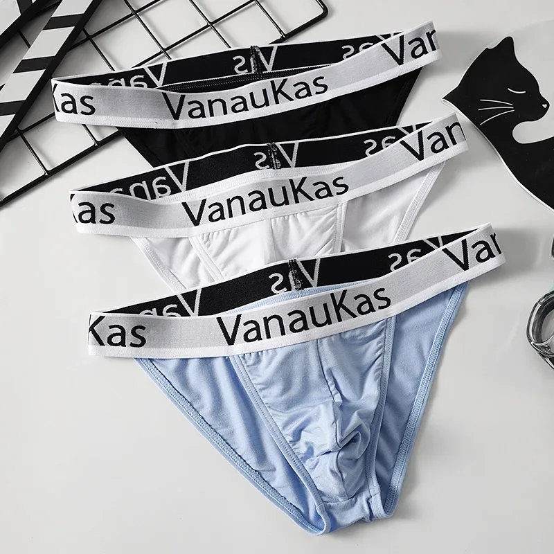 Men's High Cut Panties Soft Modal Fabric Low Rise Briefs Sexy Comfortable Underwear